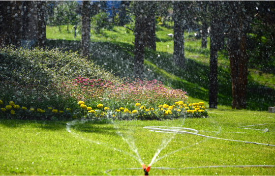 yard with sprinker