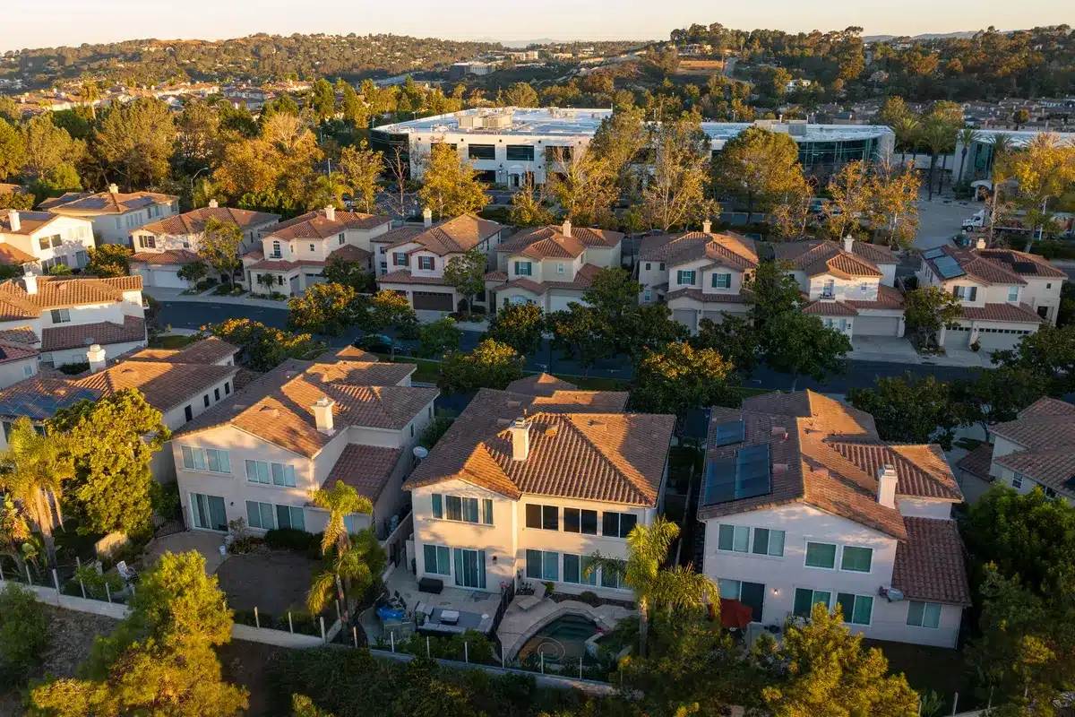 Inside a greenhouse, a man and woman pose among lush greenery and vibrant plants.