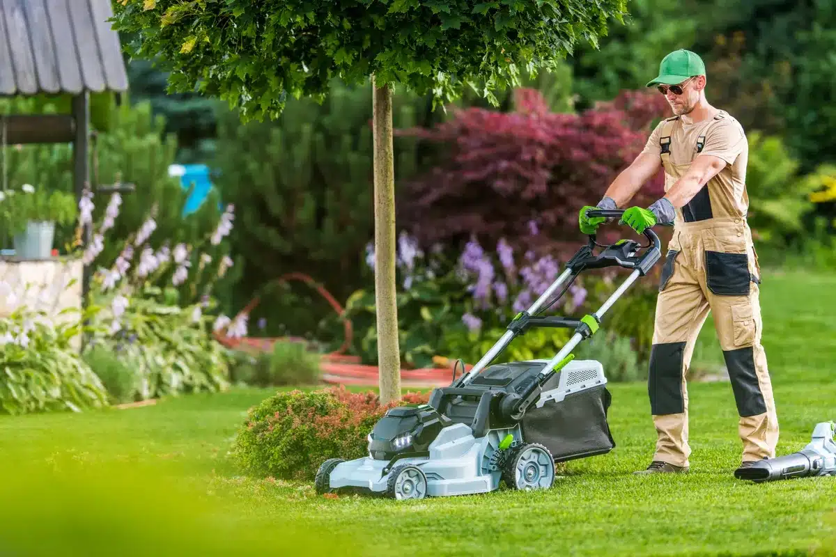 A person actively using a leaf blower to tidy up leaves in a residential yard, emphasizing outdoor maintenance.