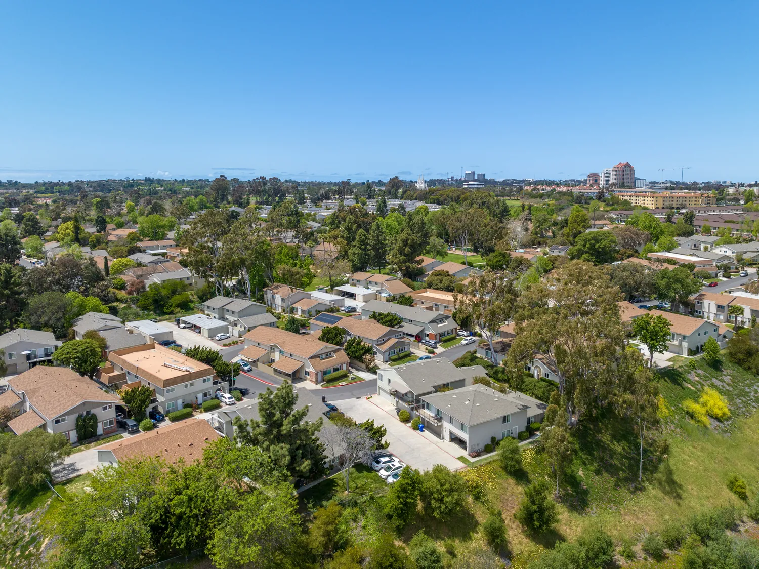 Aerial view of a suburban neighborhood with rows of houses, surrounded by lush trees. The skyline in the background features tall buildings under a clear blue sky.