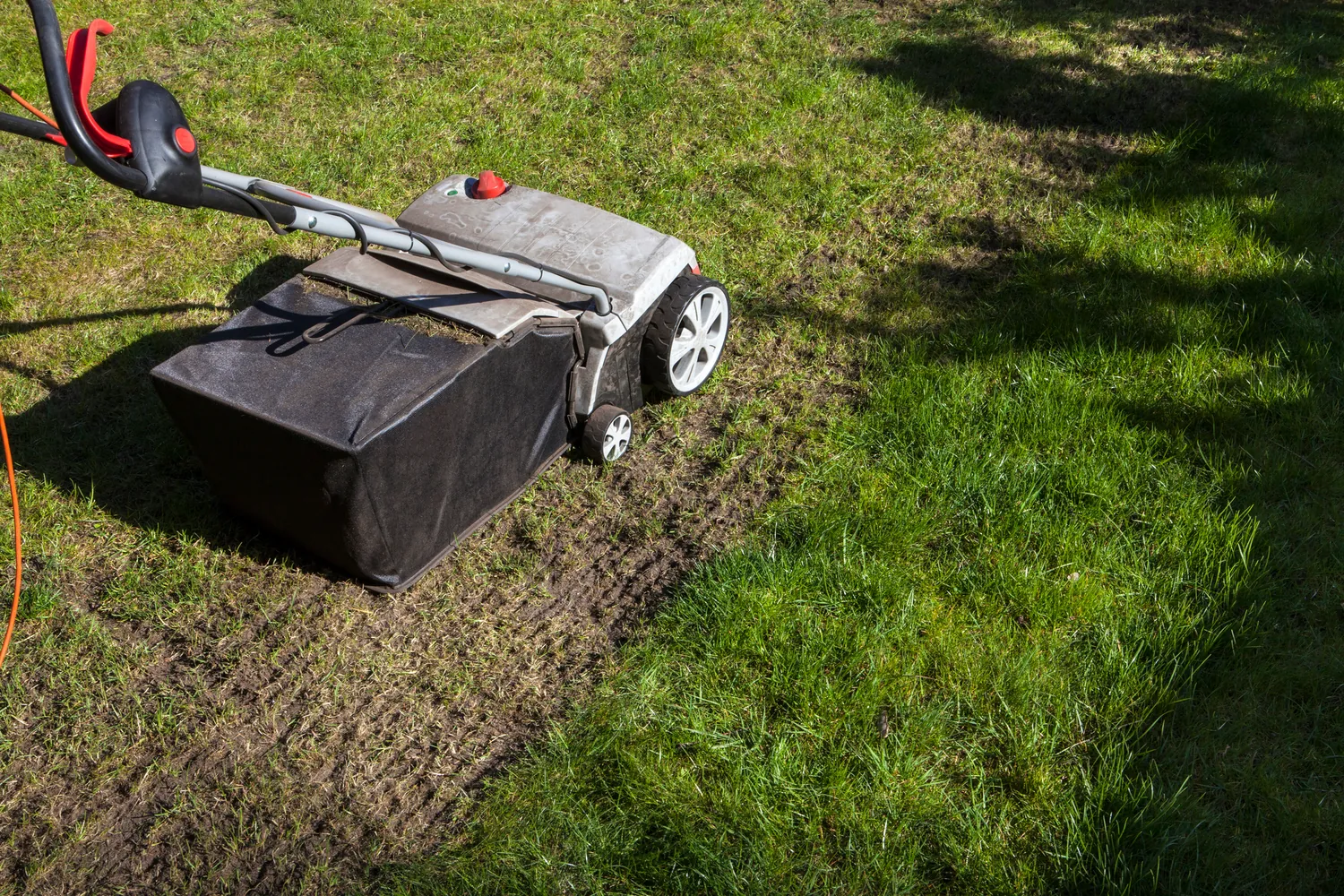 A lawn scarifier is clearing old grass and moss, shown on a patchy lawn with vivid green grass on the right. Sunlight highlights the machine's movement.