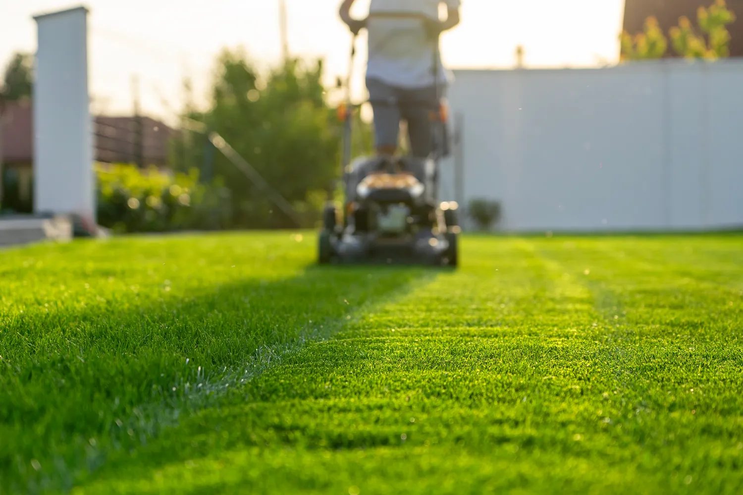 Person mowing a vibrant green lawn with a push mower in soft sunlight, creating a serene and peaceful atmosphere, with a garden in the background.