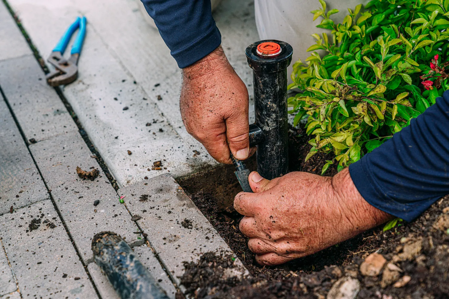 A person installs a black sprinkler next to green shrubs on a concrete path. Nearby, pliers rest on the ground. The scene conveys focused work.
