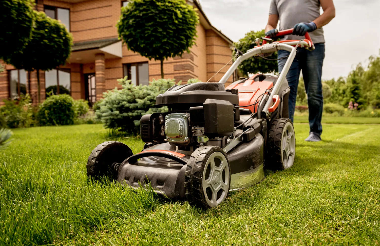 A person in jeans and gloves pushes a lawnmower across a green lawn in front of a brick house. Trimmed bushes and a clear sky complete the serene scene.