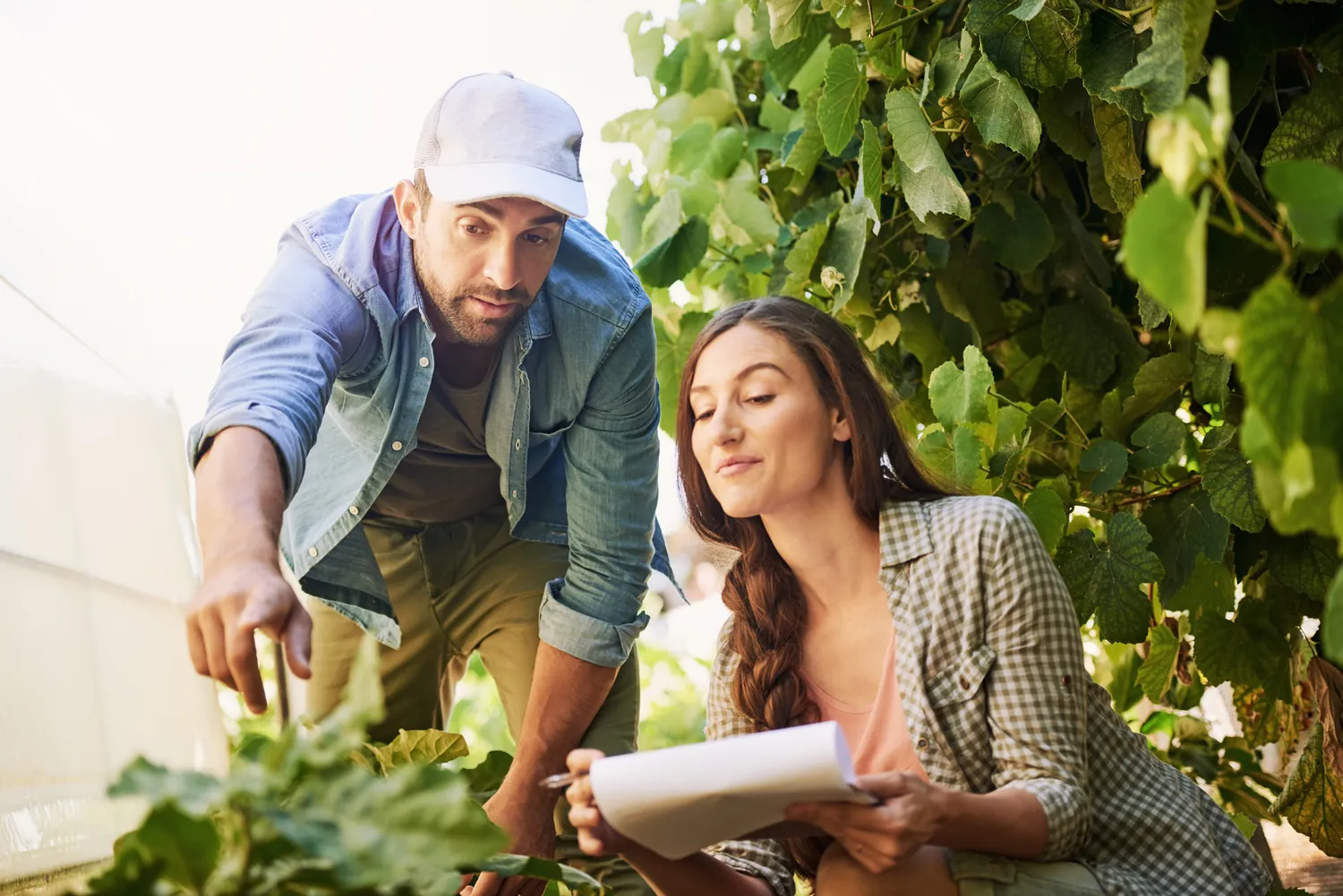 A man in a cap and denim shirt points at plants, discussing with a woman holding documents. They're in a lush, green garden, looking engaged and focused.
