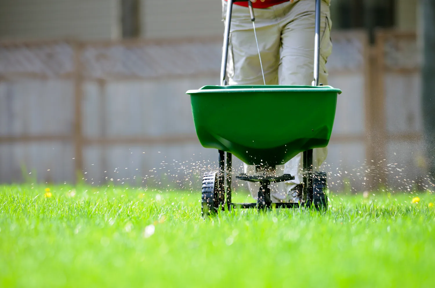 A person in khaki pants spreads fertilizer with a green wheeled spreader over lush grass, with a wooden fence blurred in the background.
