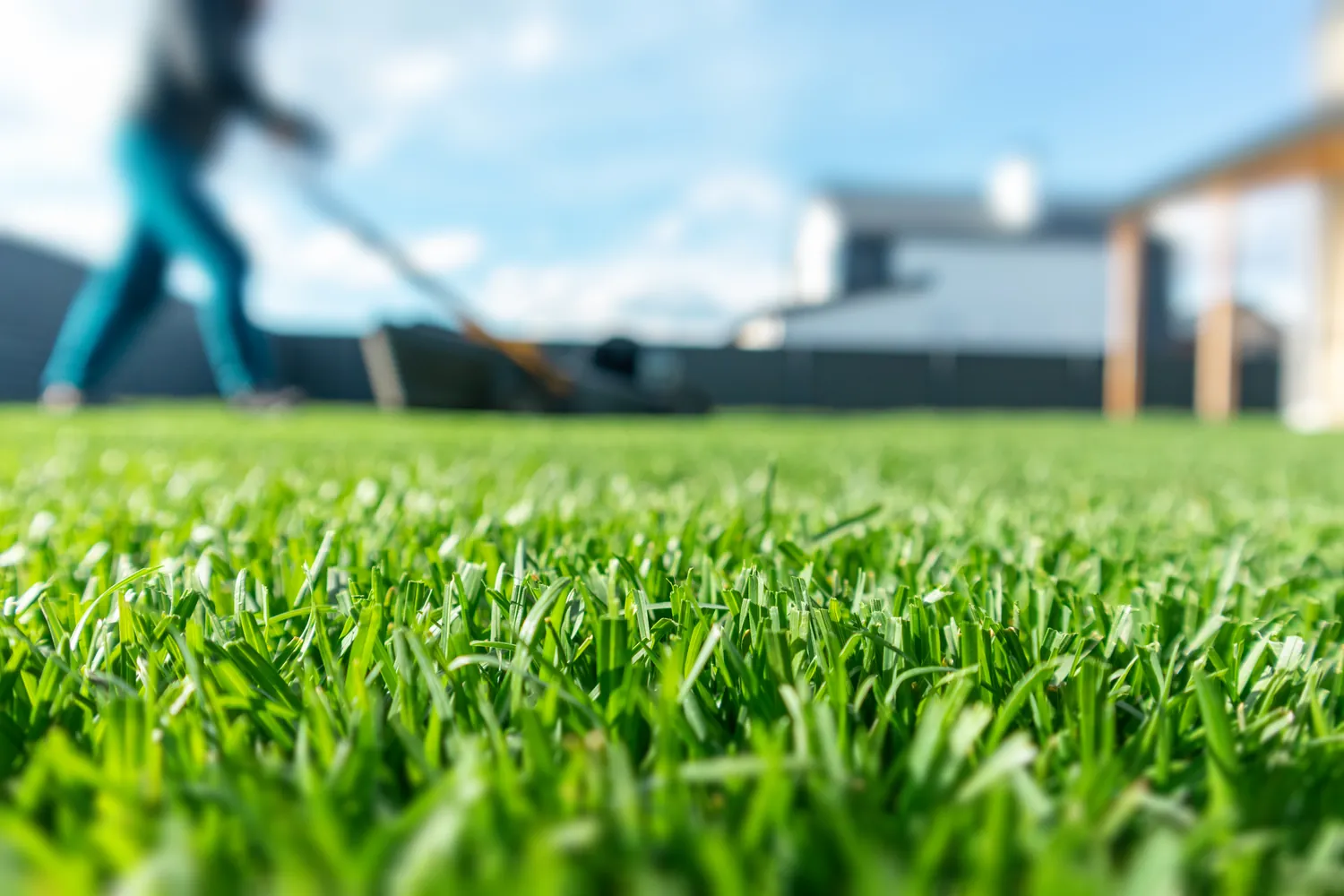 Close-up of vibrant green grass in focus, with a blurred person mowing the lawn in the background, under a sunny blue sky, conveying a sense of summertime.