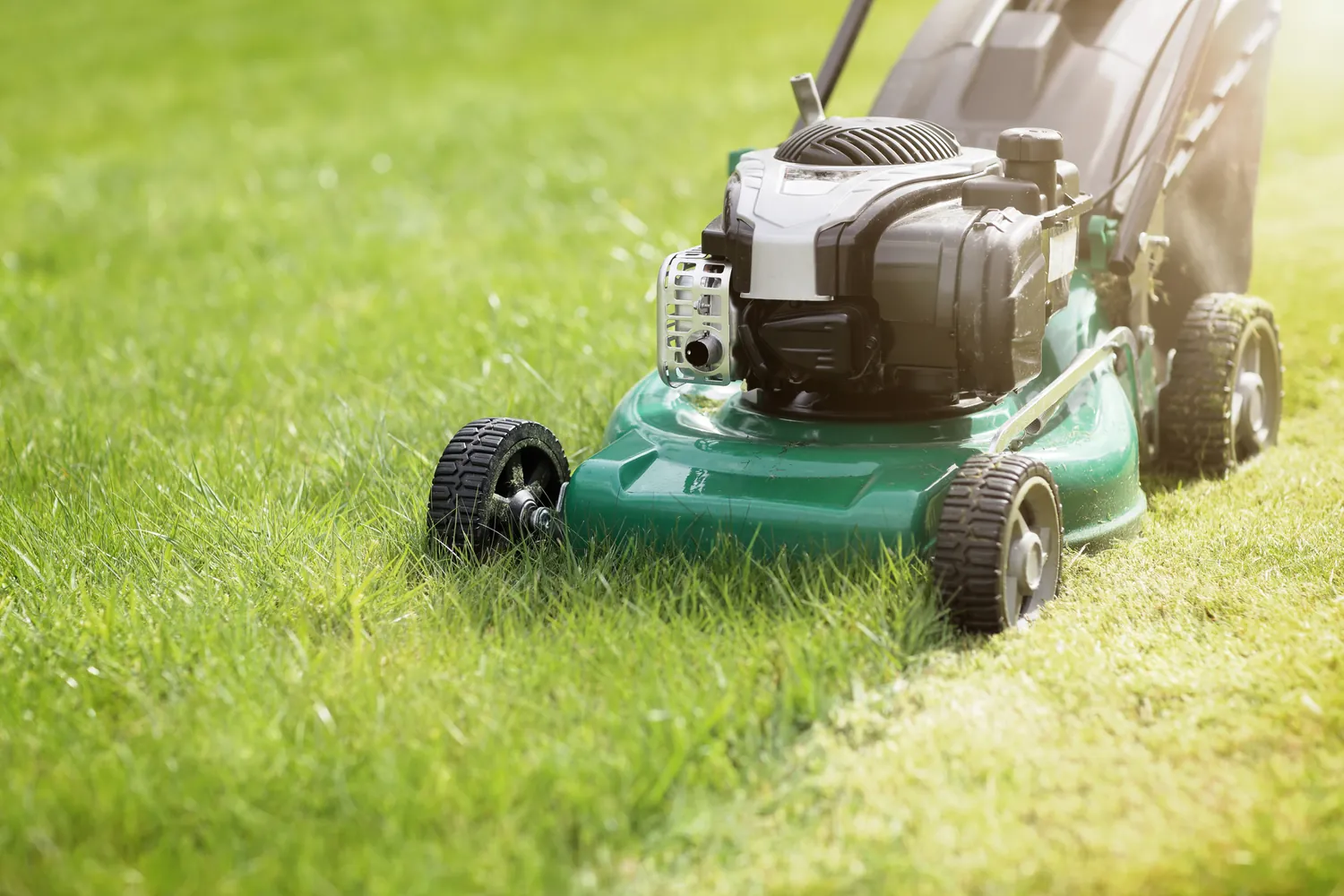 A green lawn mower trims vibrant grass on a sunny day, casting a soft shadow. The scene conveys a sense of calm and outdoor maintenance.