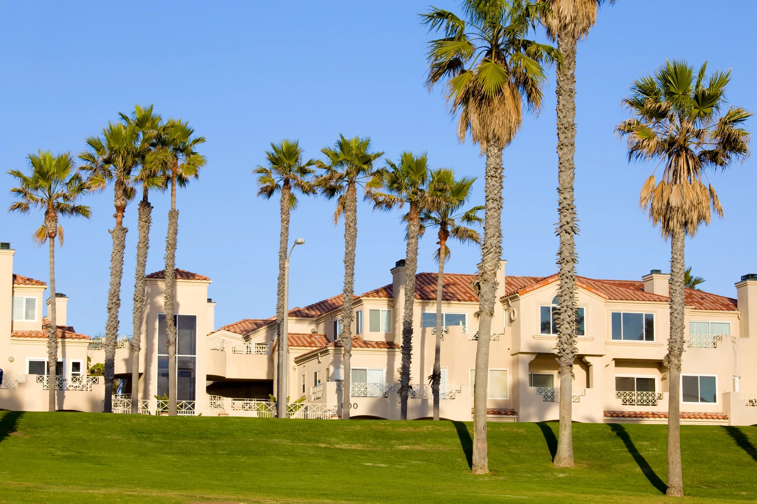 California-style stucco apartments with terra cotta roofs behind a grassy lawn and palm trees under bright, natural golden hour sunlight.