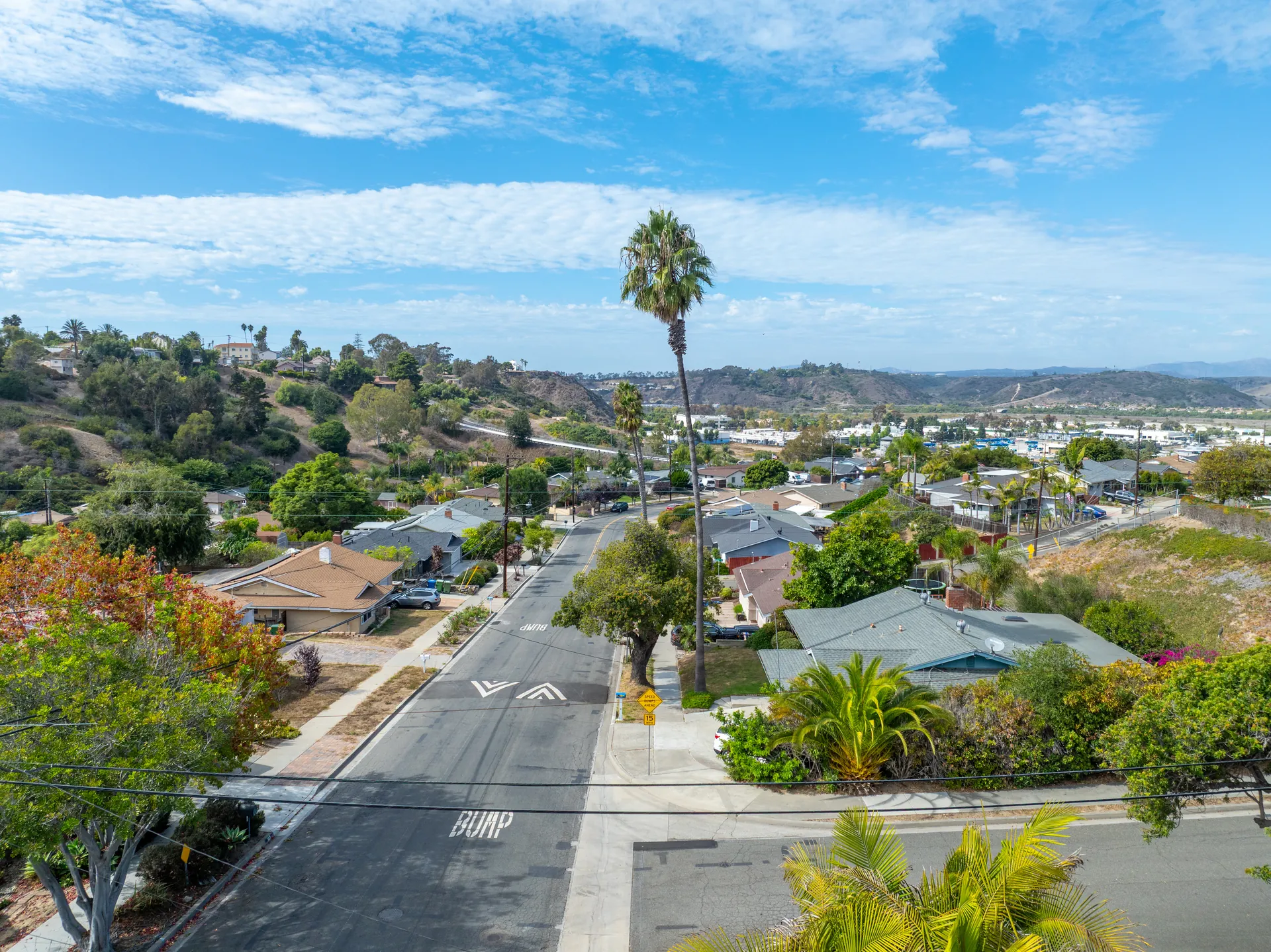 Aerial view of a sunny California suburban street with palm trees, "BUMP" road markings, and a yellow speed hump sign under a bright blue sky.