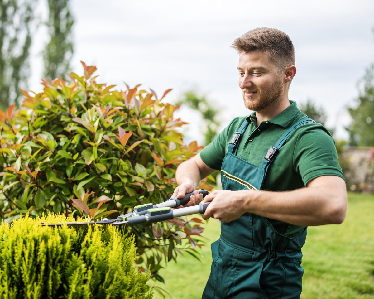 A gardener in a green uniform trimming shrubs with hedge shears