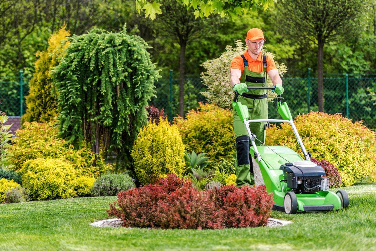 A gardener mowing a lawn beside colorful planting beds